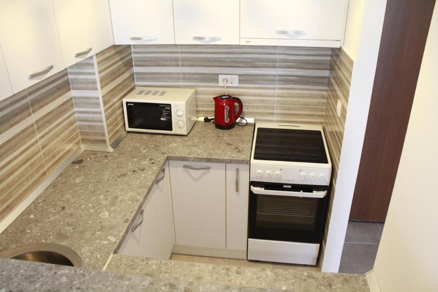 Apartment Lux Apartments Huma *